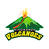 WISV logo