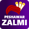 Peshawar logo