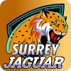 Jaguars logo