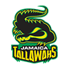 Jamaica logo