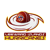 LEI logo