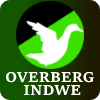 Indwe logo