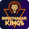Biratnagar logo