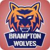 Brampton logo