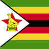 ZIM19 logo