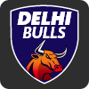 Bulls logo