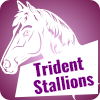 Stallions logo