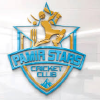 Pamir Stars