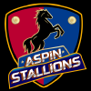 Aspin logo