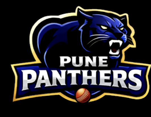 Panthers logo