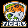 INDT logo