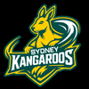 SYK logo