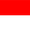 IDNW logo
