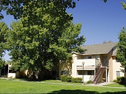 Cambridge Court thumbnail 4