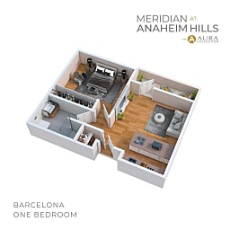 Meridian at Anaheim Hills thumbnail 16