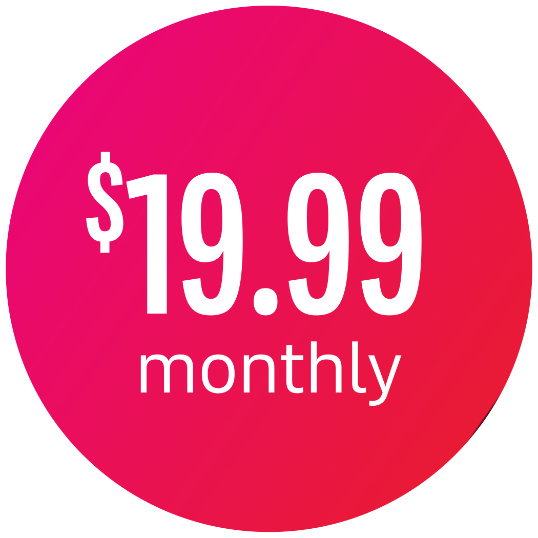 SafePatch Professional Plan - $19.99 per month