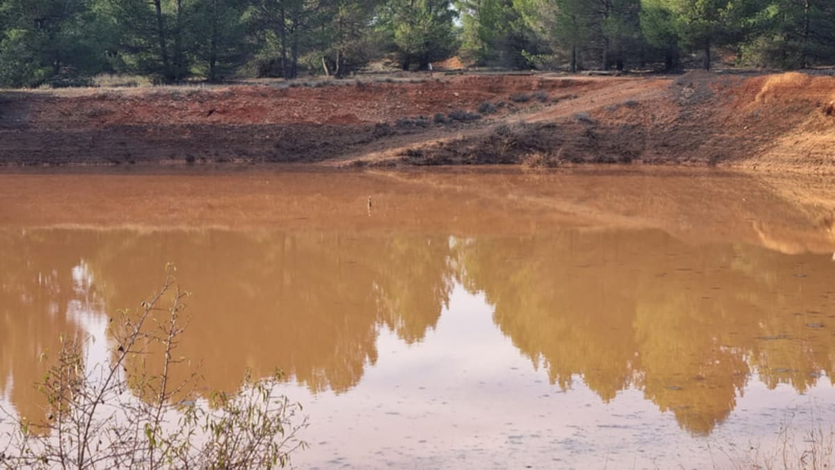 Requena Golf - Golf en Requena