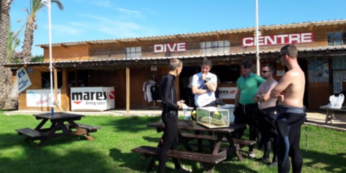 Divestar Ibiza VIP Diving - Natacion a Illes Balears