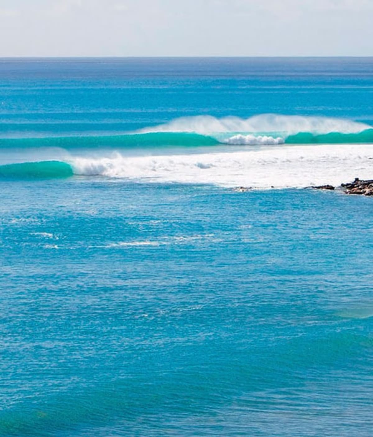 Surfers Free School - Surf a La Oliva