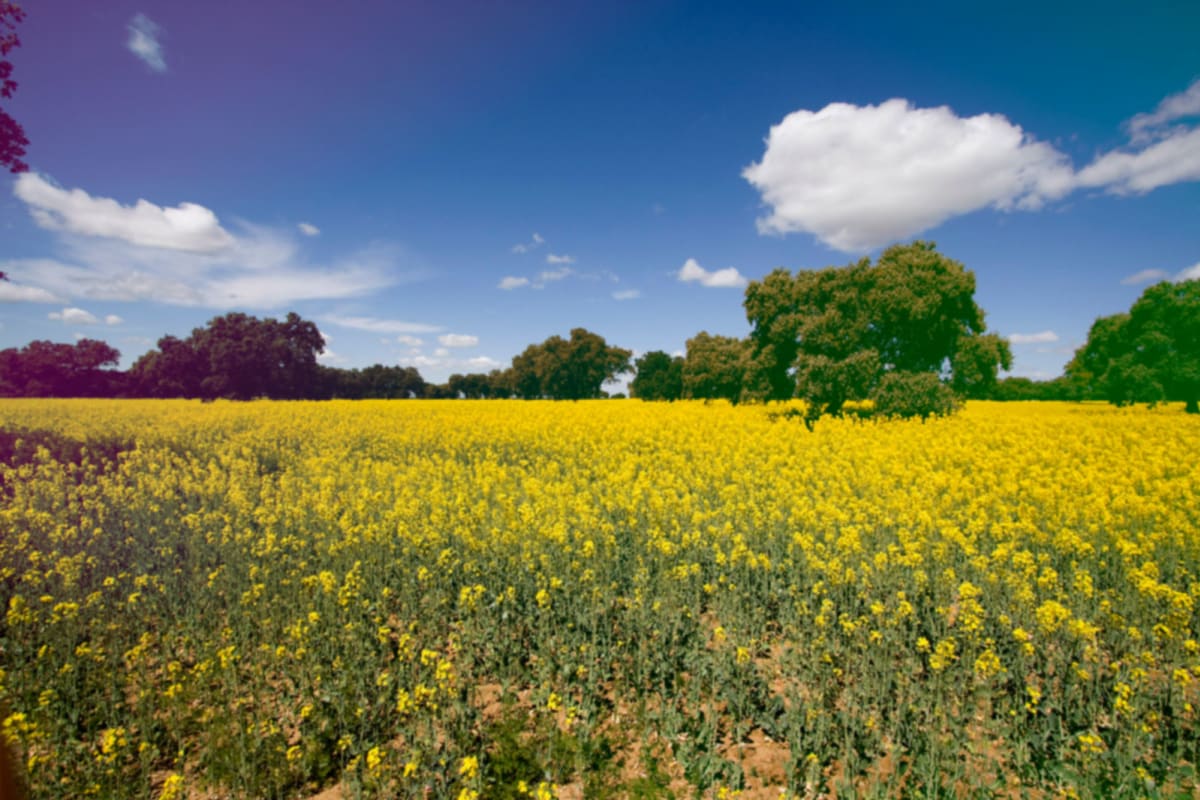 Piscina Municipal Aldeacentenera (Cáceres) - Natacion in Aldeacentenera