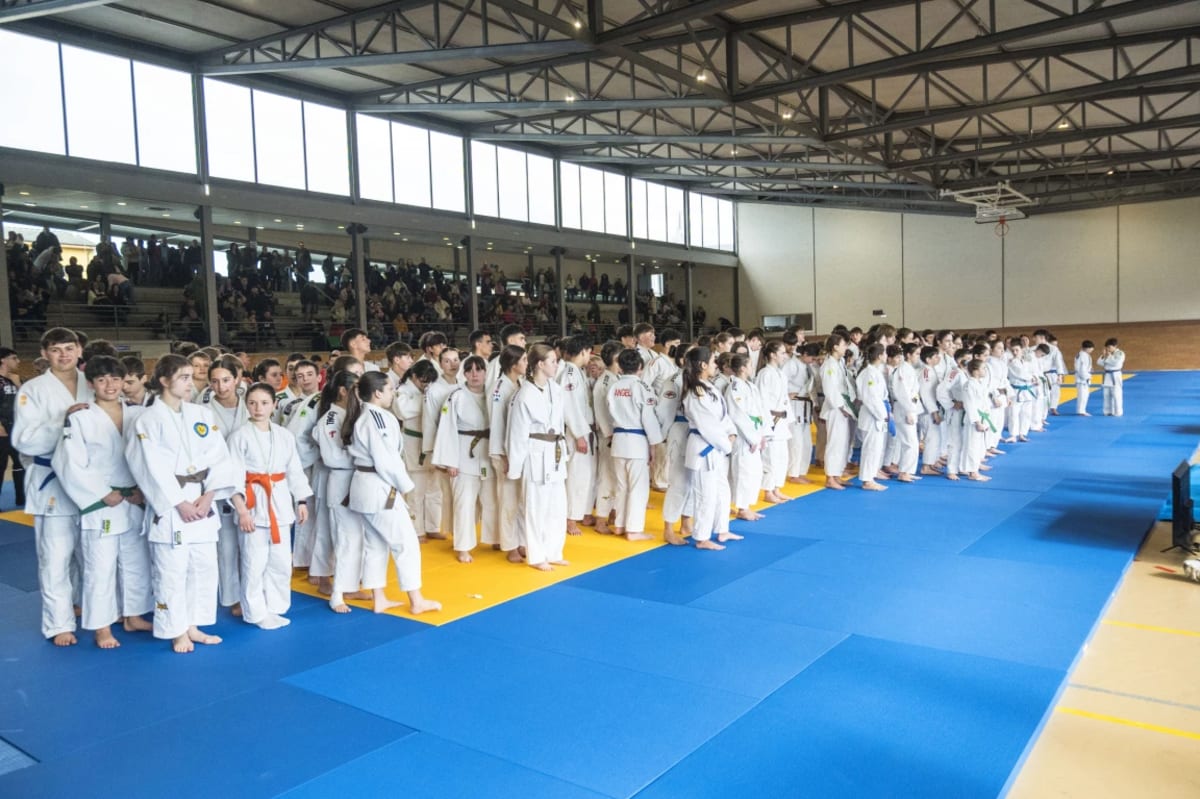 Federación Asturiana de Judo - Judo a Oviedo