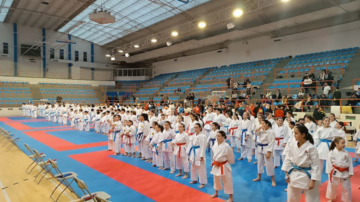 Escuela de Karate Ishikawa - Karate a Miranda de Ebro