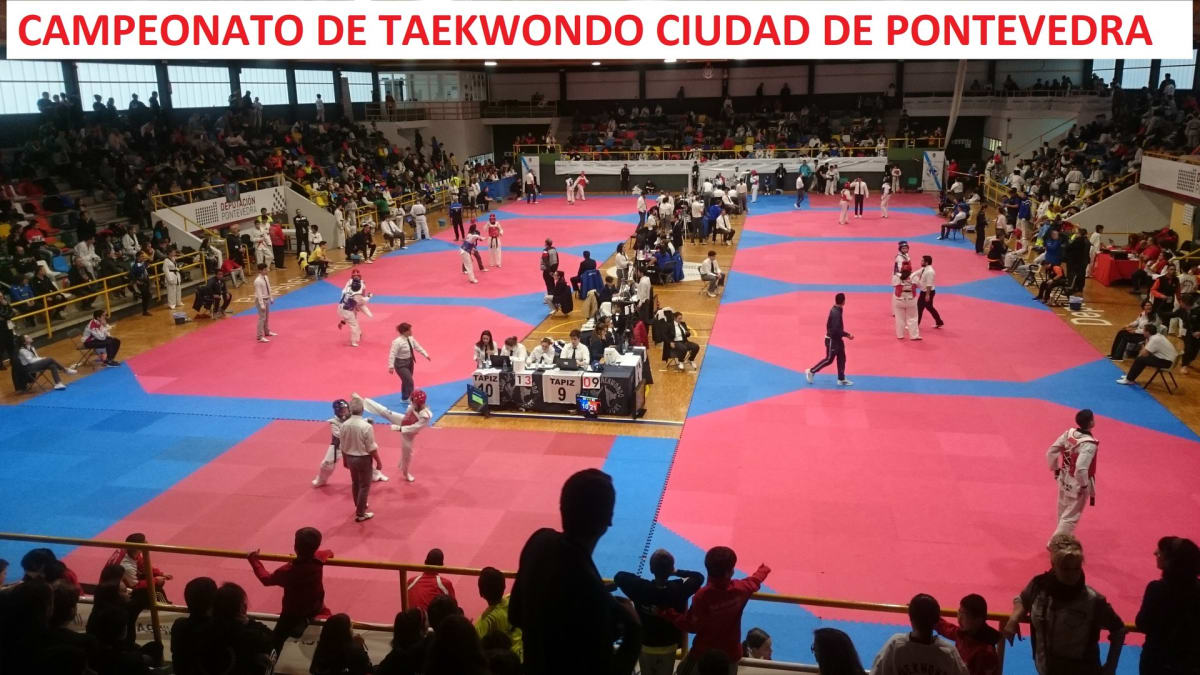 Club de taekwondo Mace Sport - Judo in Pontevedra