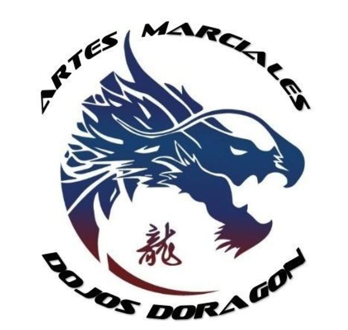 Doragon Salt - Judo a Salt
