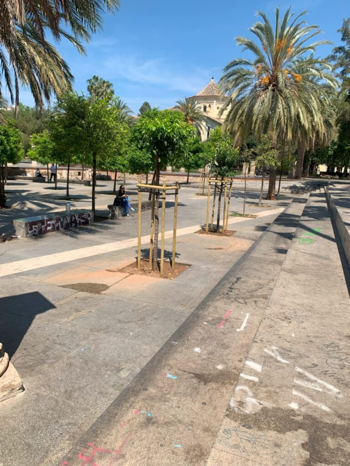 Spot Skate - Skateboard en València