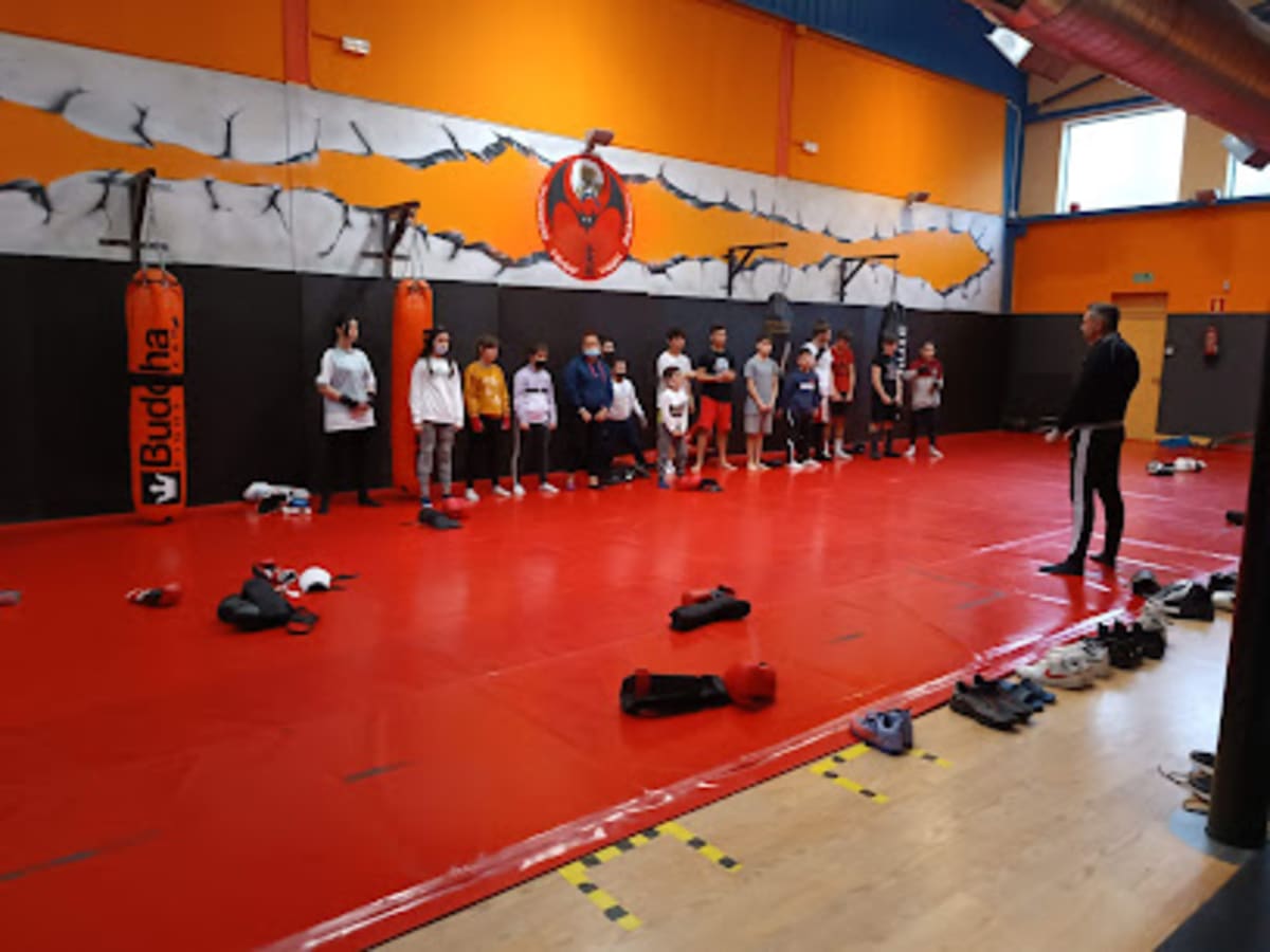 The Boxer Club Pentasa - Karate a Burgos