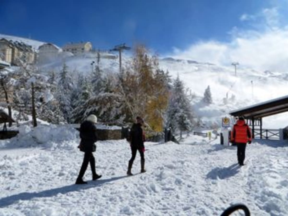 Sierra Nevada UP - Ski a Granada