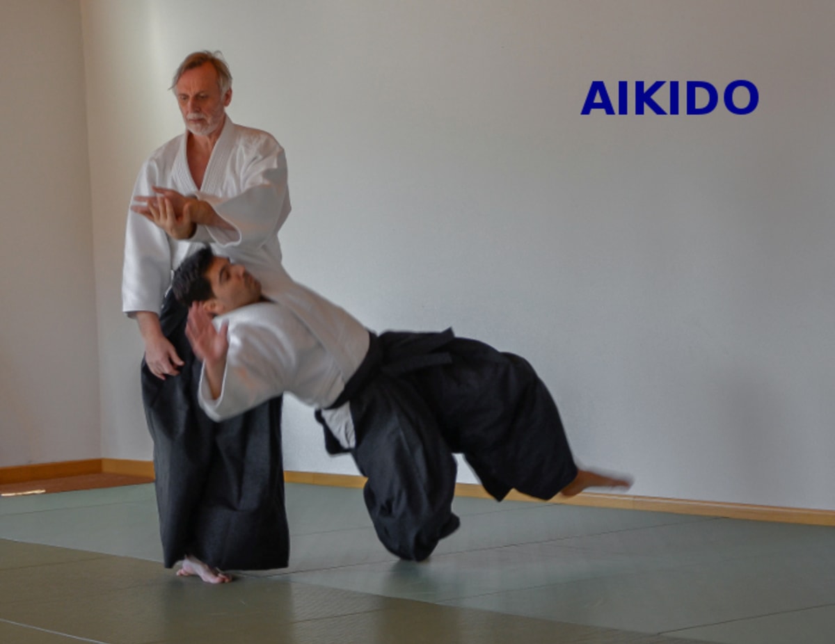 Asociación de Aikido Byakko Dojo - Karate a Aranjuez