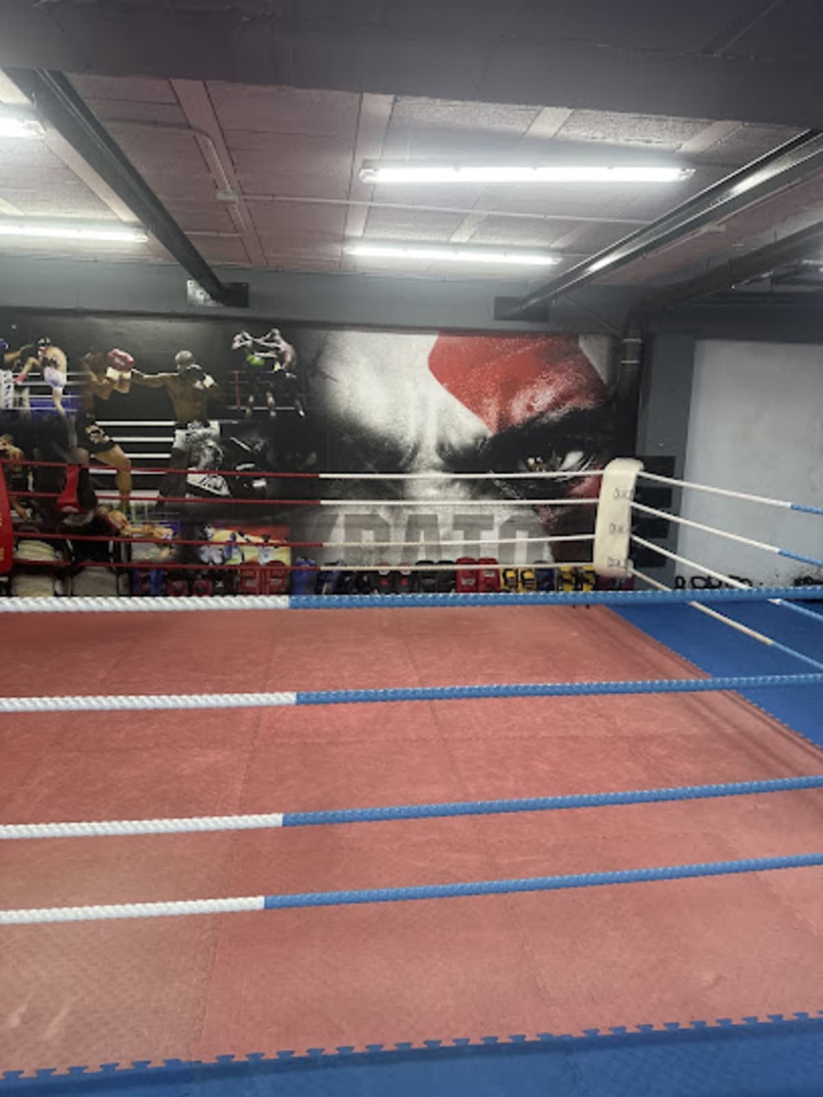 Kratos Gym - Karate a Los Realejos