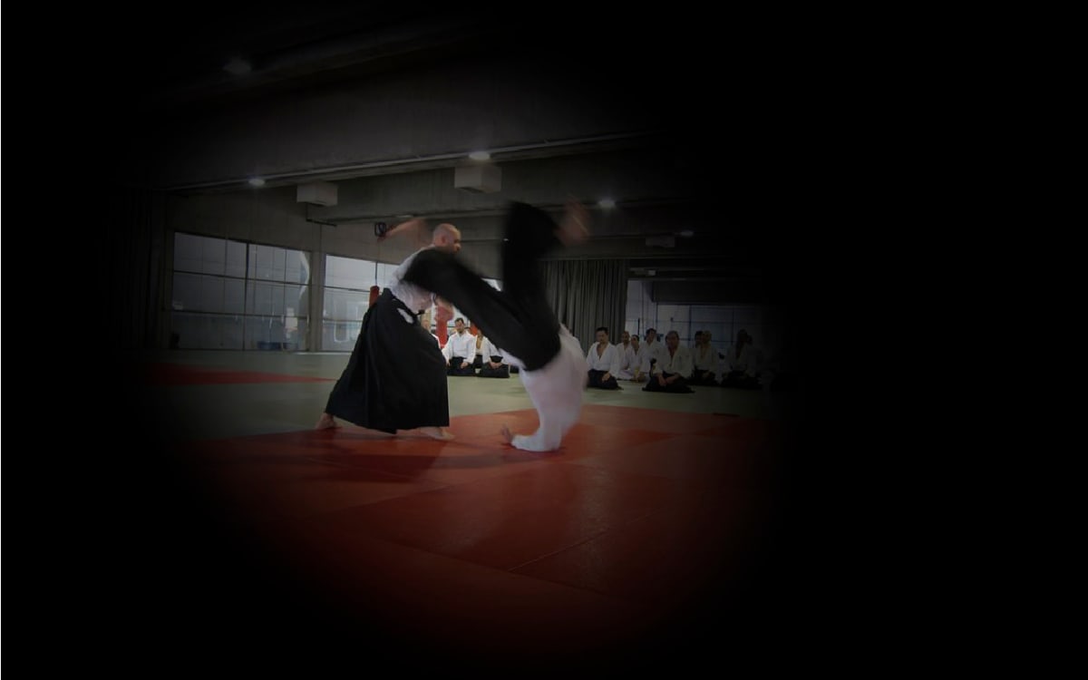 Aikido Nōgara-Juku - Judo en Getafe