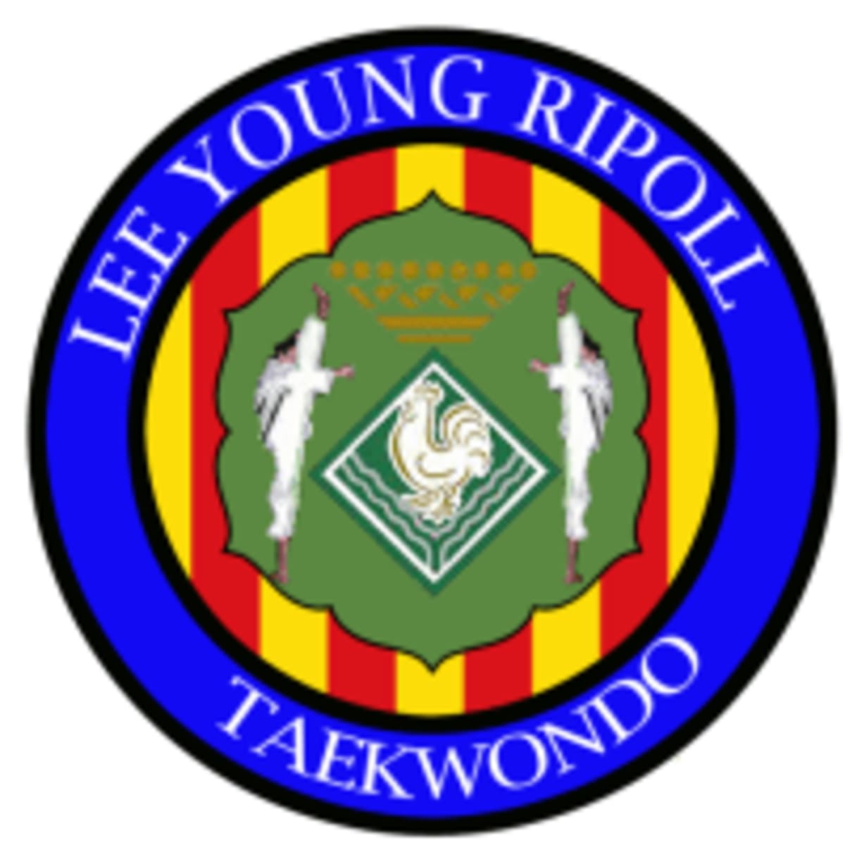 Gimnàs Lee Young Ripoll - Judo a Ripoll