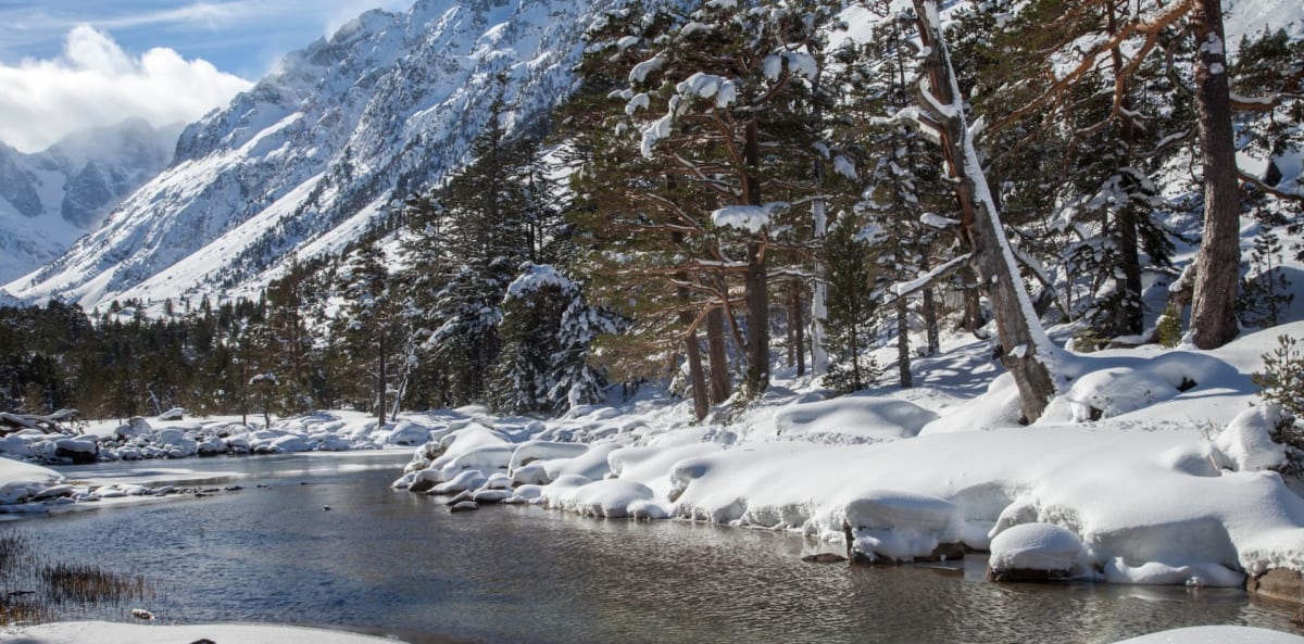 Swin Golf des Oliviers - Golf en Gaudiès