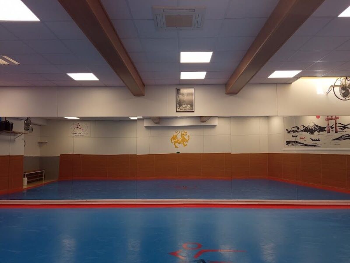 GIDAE TAEKWONDO ALCÁZAR DE SAN JUAN - Judo a Alcázar de San Juan