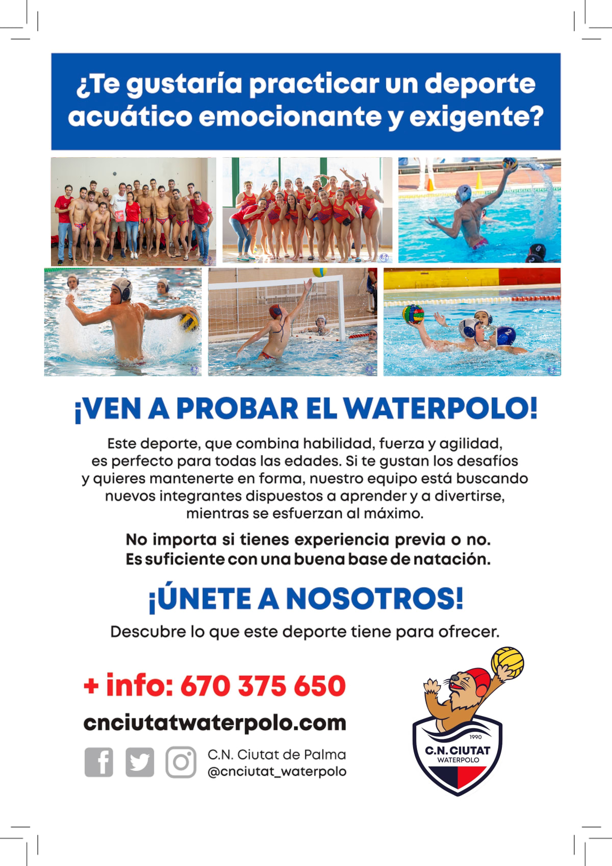 Club natació Ciutat de waterpolo - Natacion a Palma
