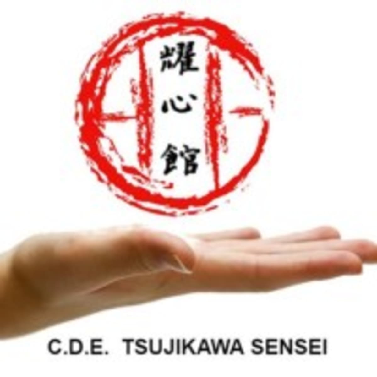 C.D.E. Tsujikawa Sensei - Karate a Madrid