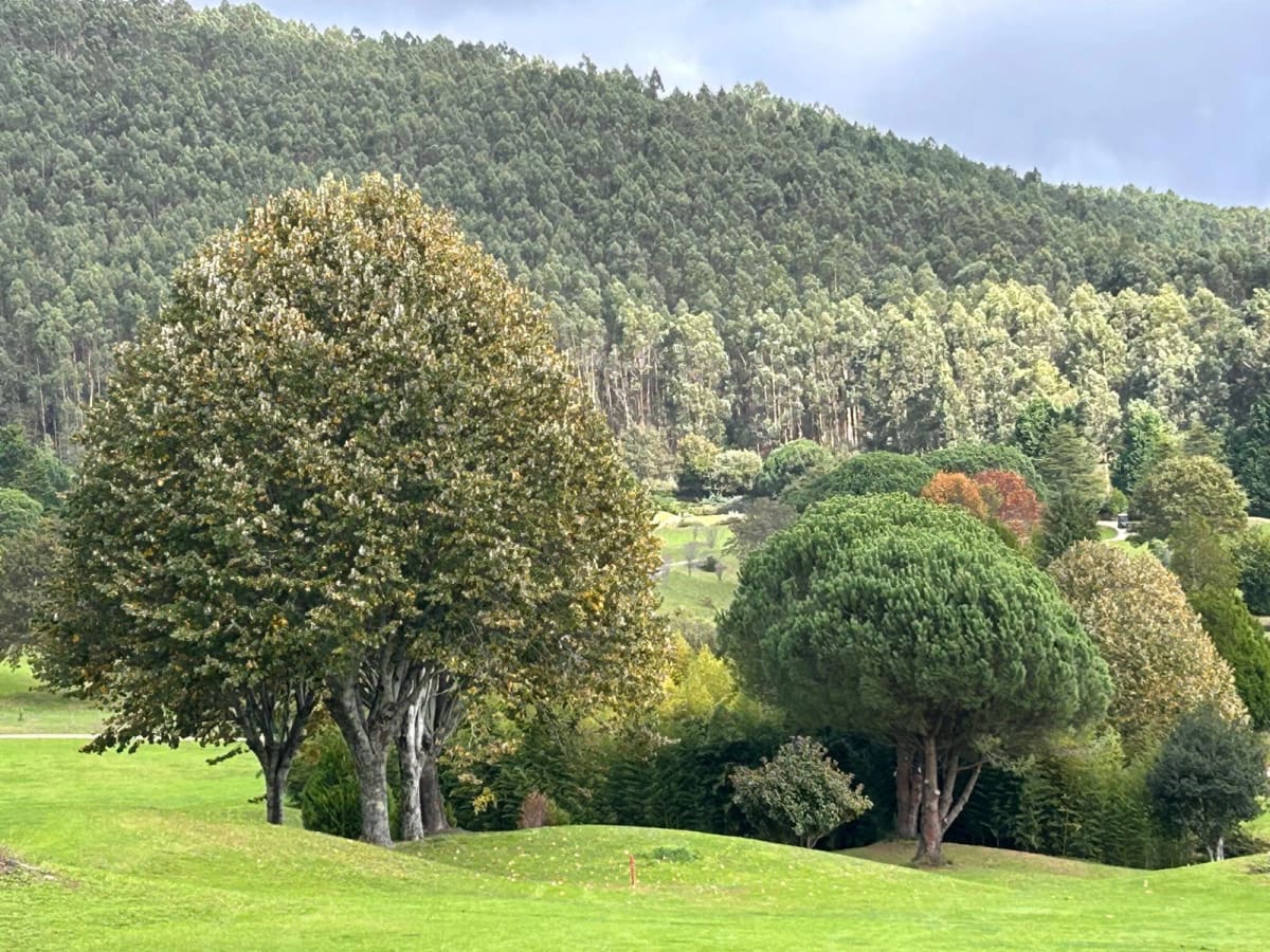 Golf Ria de Vigo - Golf in Pontevedra