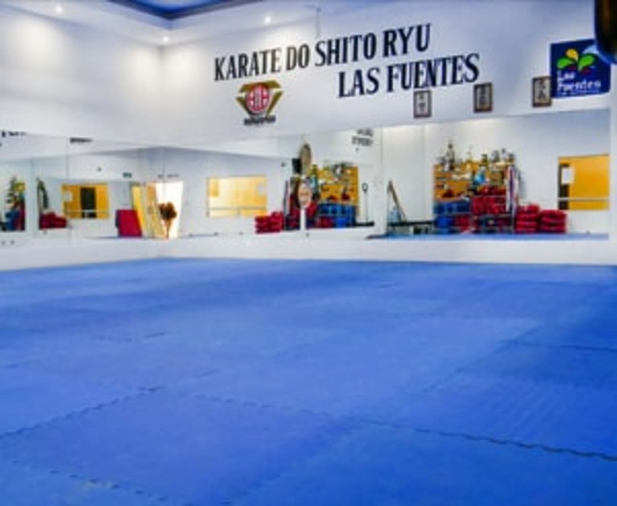 Club de Judo las Fuentes - Judo a Zaragoza