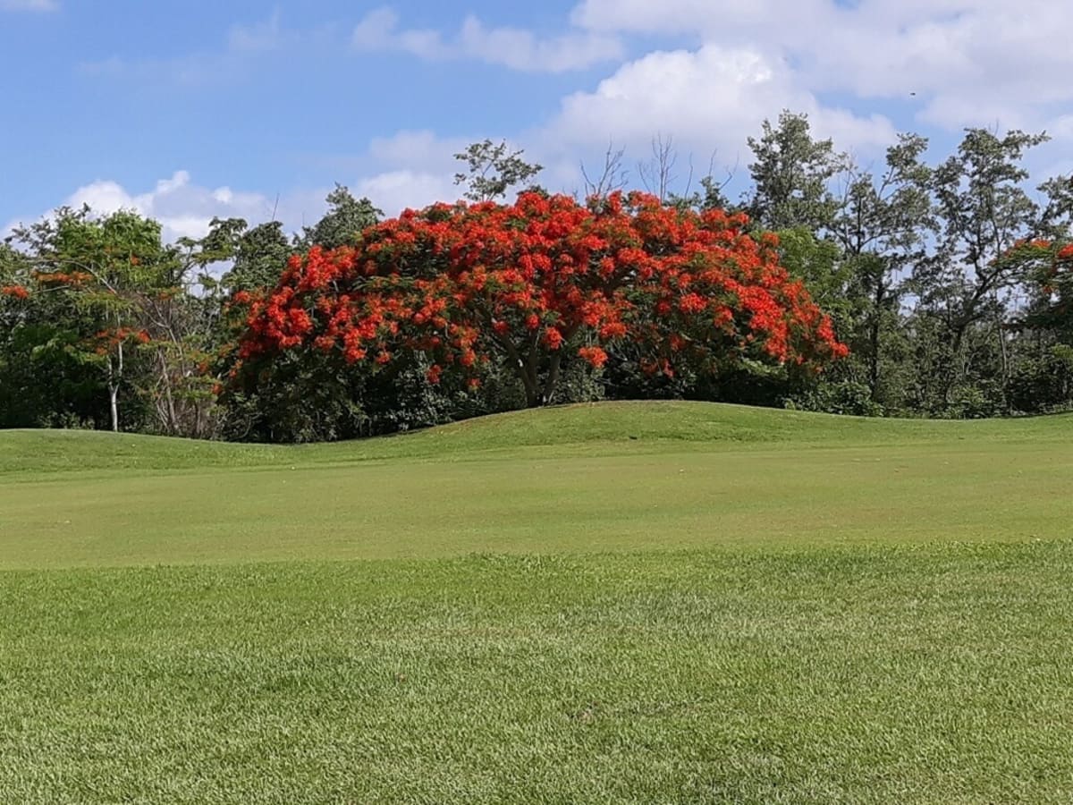 Monstagedegolf - Golf a Biarritz