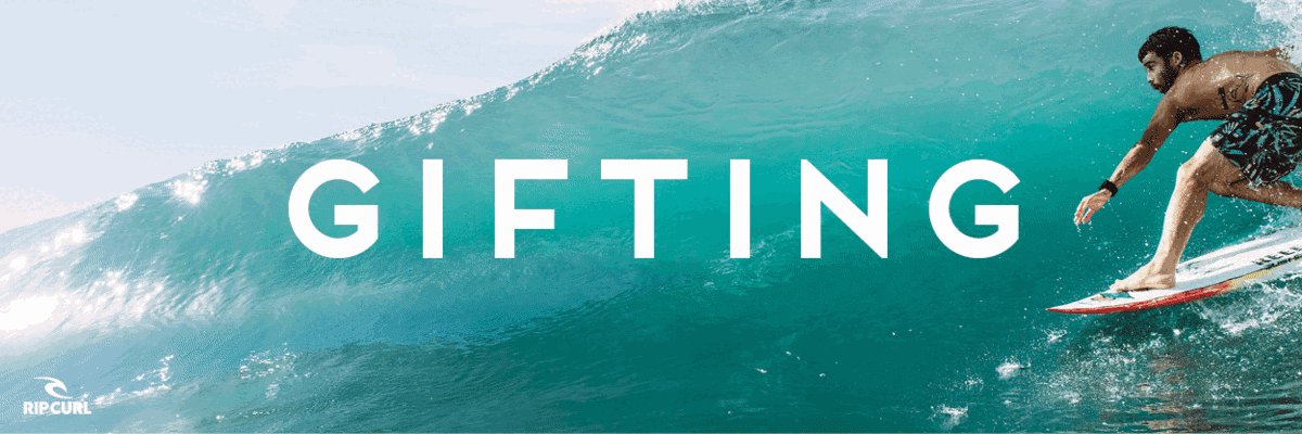 RedAnimal Surf & SUP School - Surf en Ovar