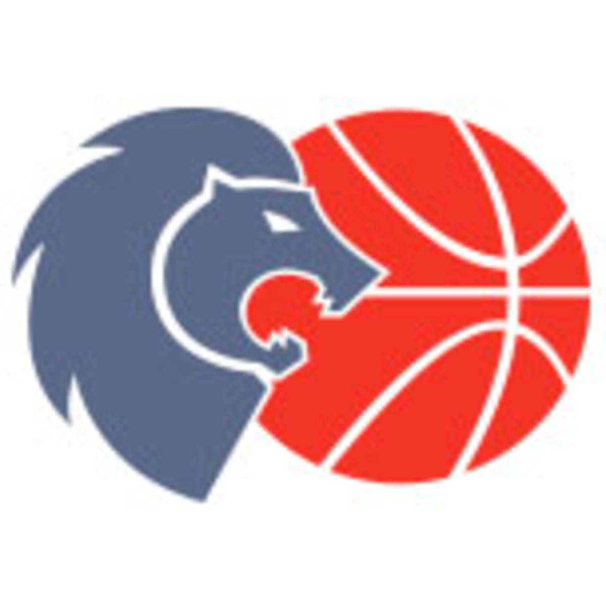 Club Baloncesto Breogan S.A.D. - Baloncesto a Lugo