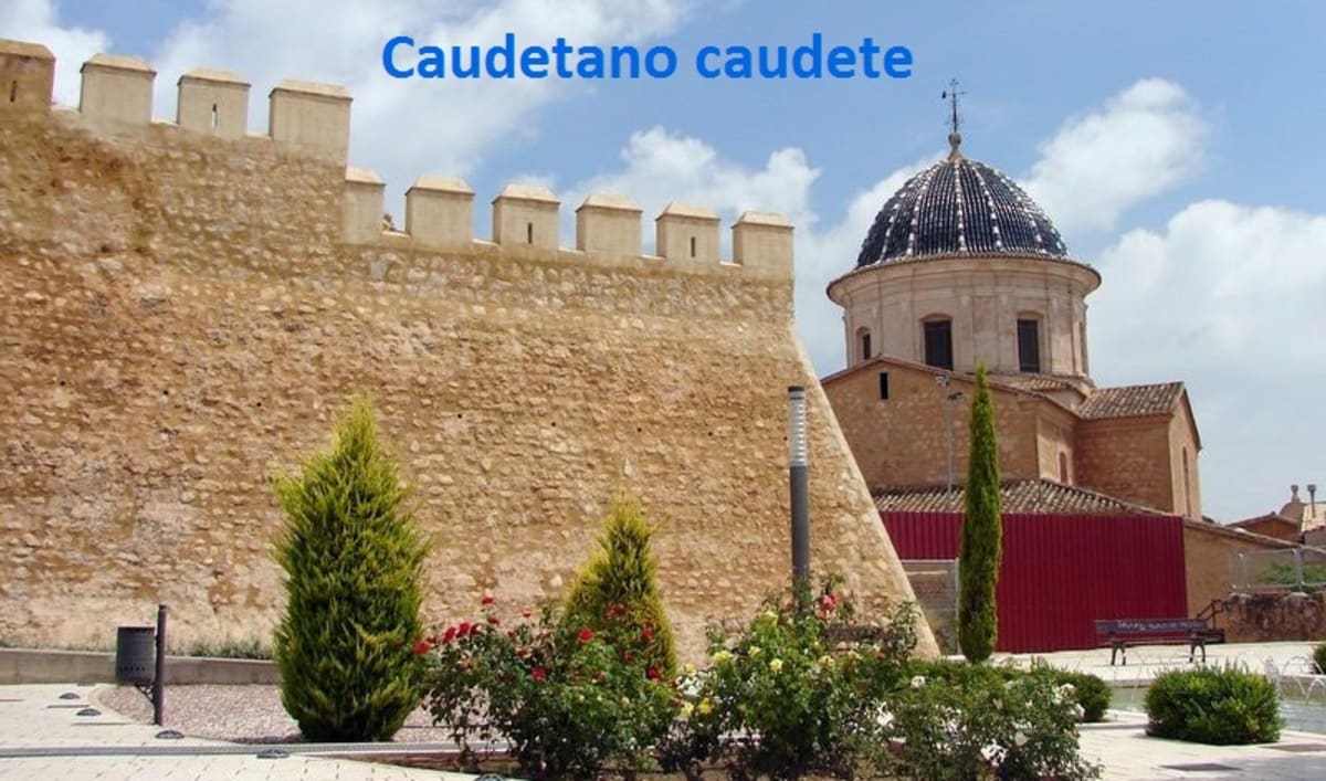 Pabellón de Caudete -Baloncesto - Baloncesto in Caudete