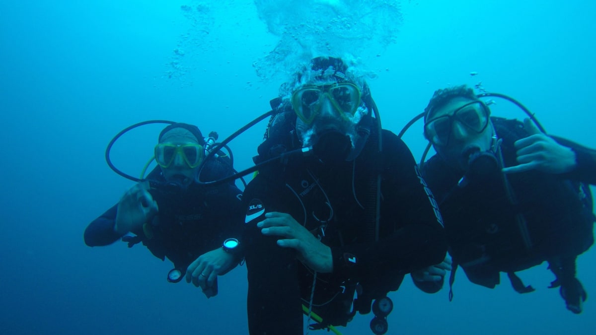 Revolution Dive - Altea - Natacion in Altea