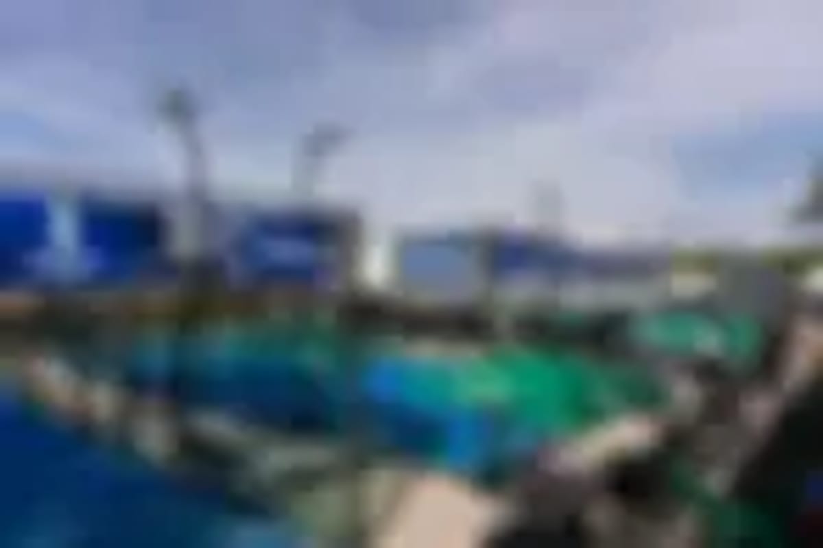 Padel and Fun - Padel a A Coruña