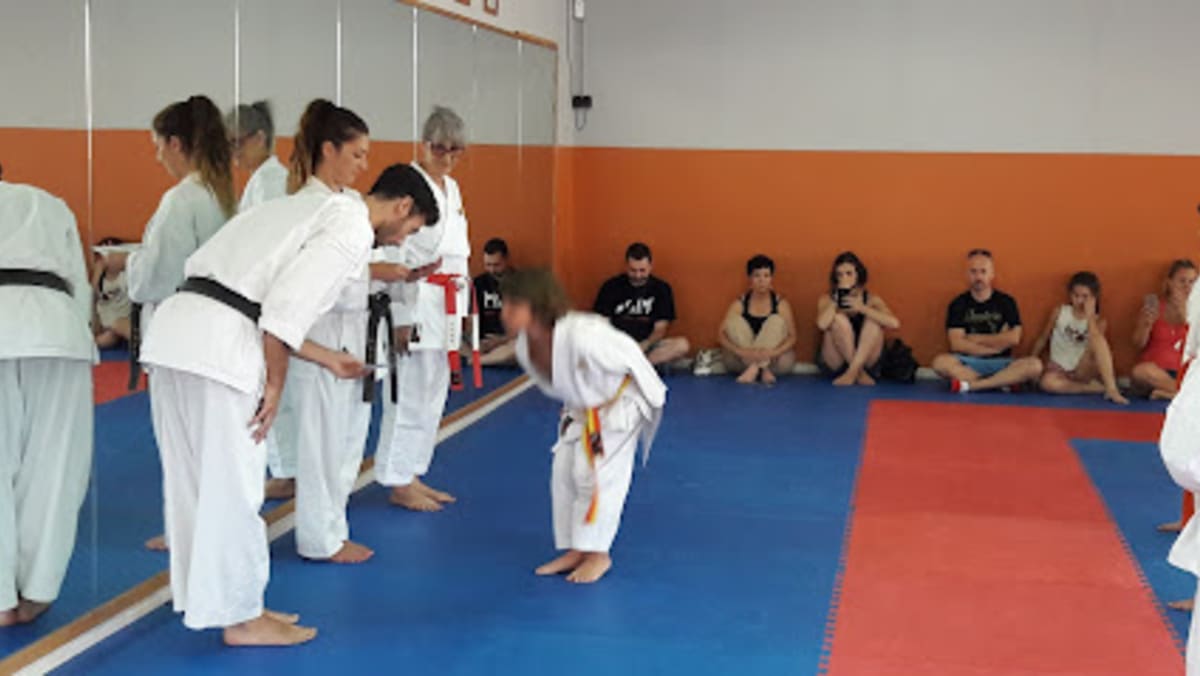 Dojo Senshi - Judo a Vitoria-Gasteiz