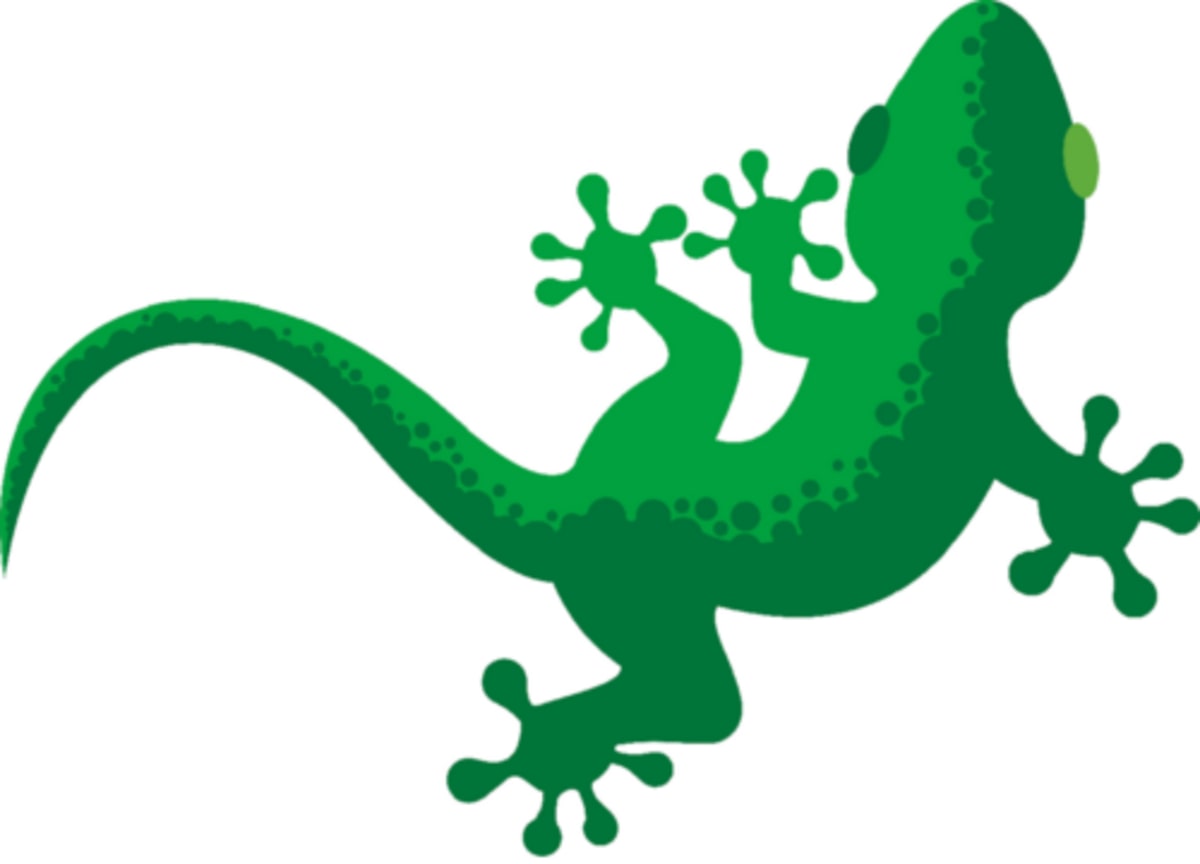 Guías de Montaña Al Andalus Activa - Ski a Sierra Nevada