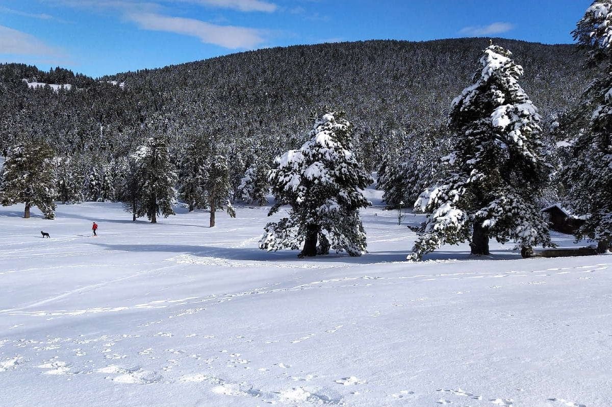 Rasos de Peguera altitude - Ski in Castellar del Riu